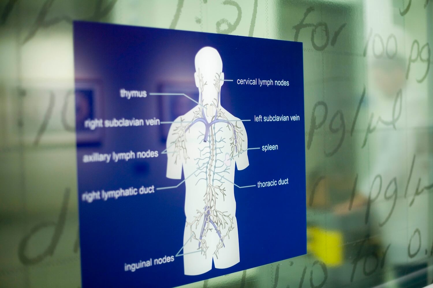 A drawing shows parts of a human body to aid in clinical research.